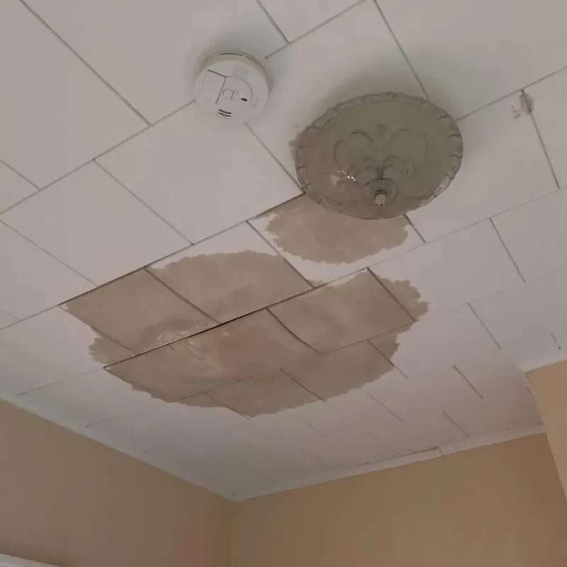 Ceiling Water Damage Repair in Flora, IL