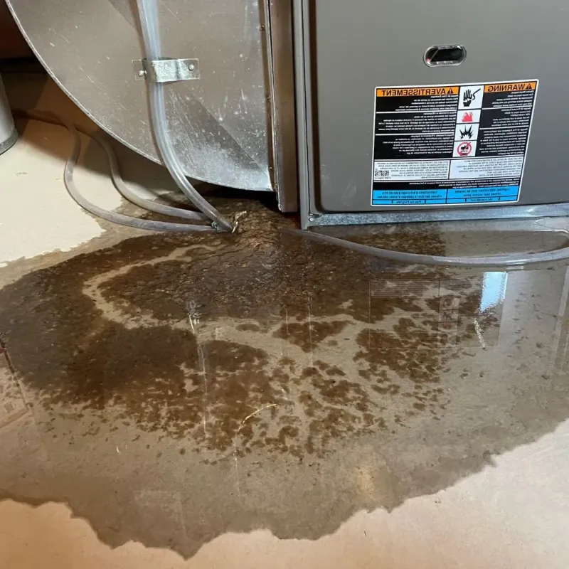 Pipe Burst and Leak Restoration in Flora, IL
