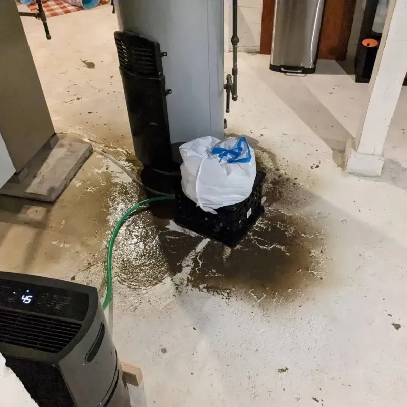 Sewage Backup Cleanup Service in Flora, IL